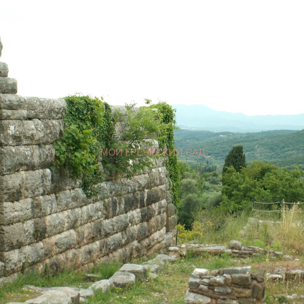 храмы Древней Греции